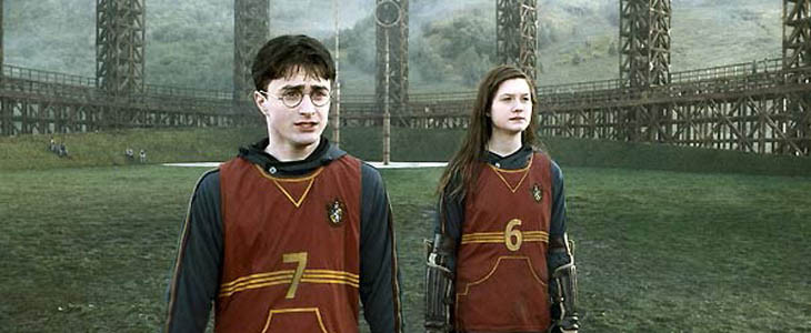Harry et Ginny - Quidditch