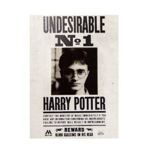 Carte de voeux lenticulaire Gazette du Sorcier Harry Potter - Indésirable No.1