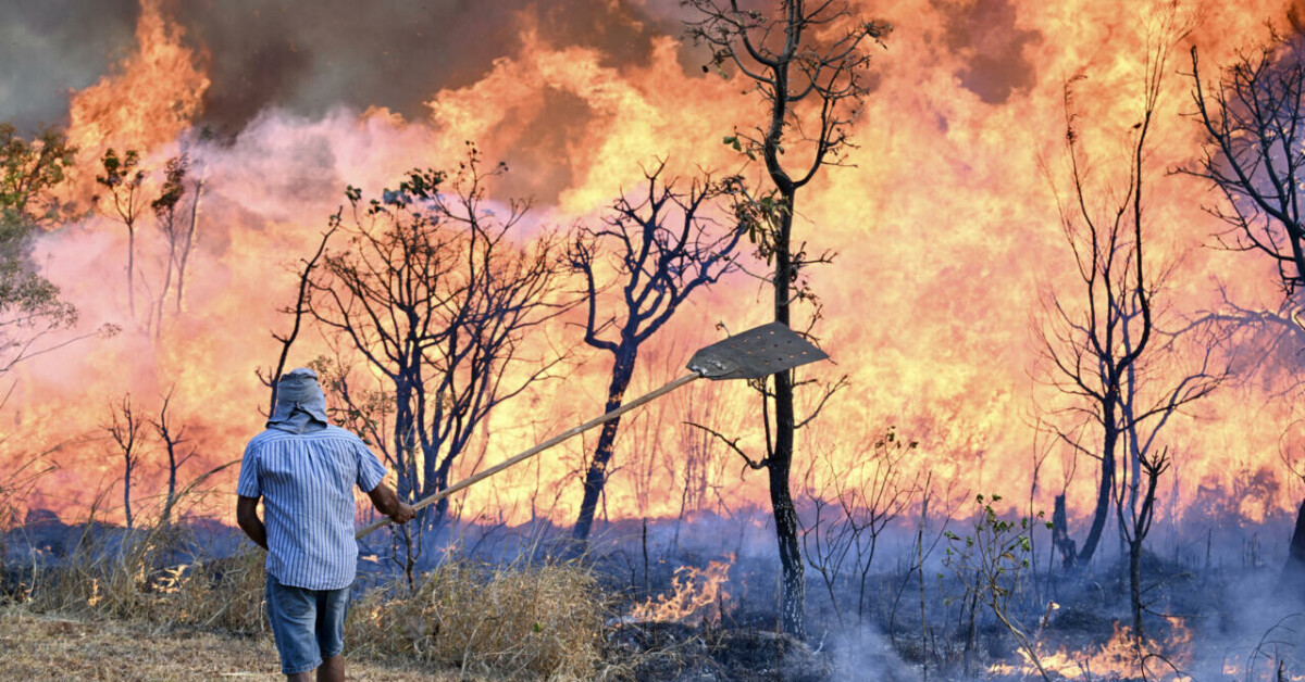 Brasilia wildfire rages across national park, threatening protected ...