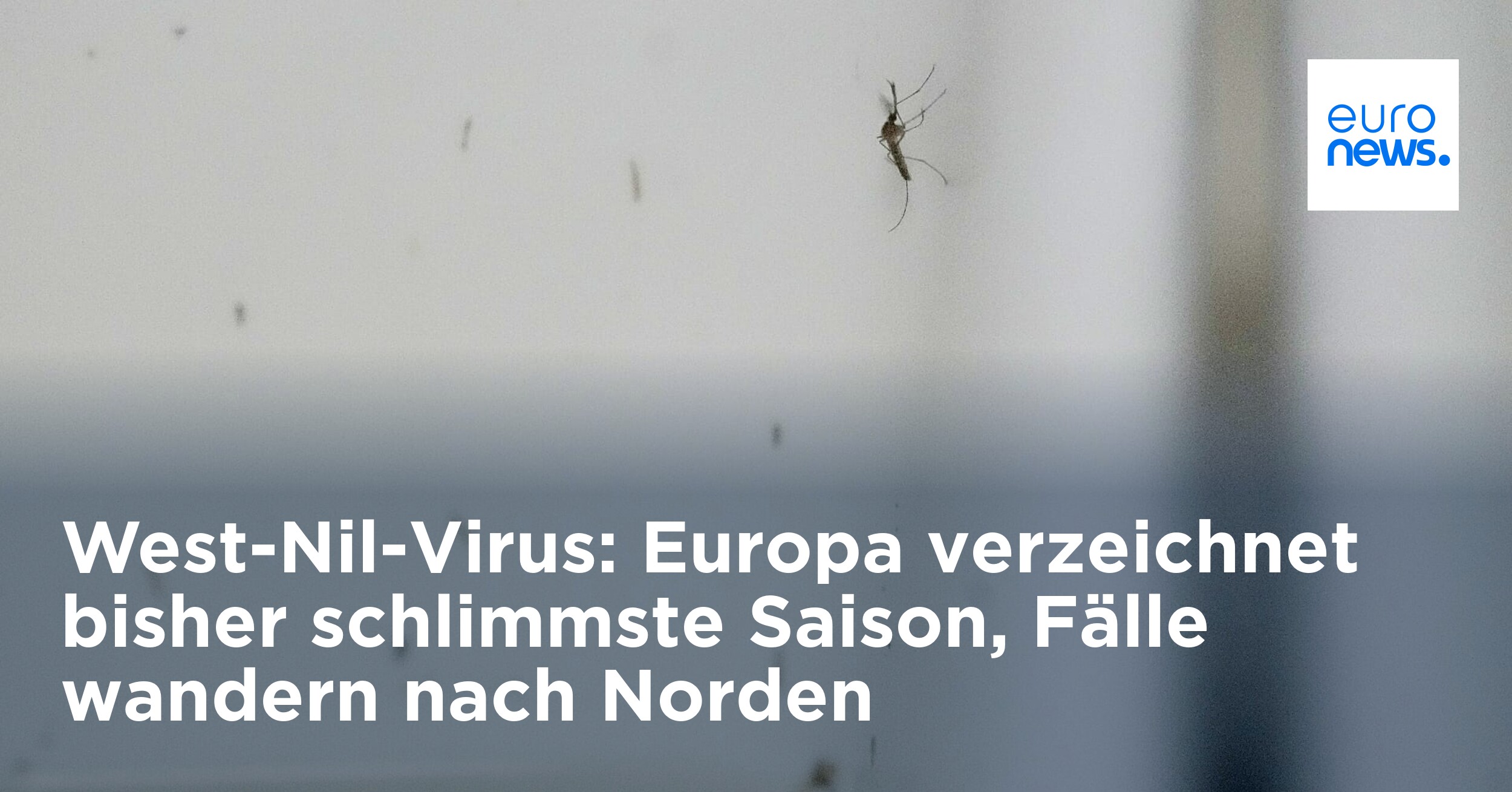 West-Nil-Virus: Europa verzeichnet bisher schlimmste Saison ...