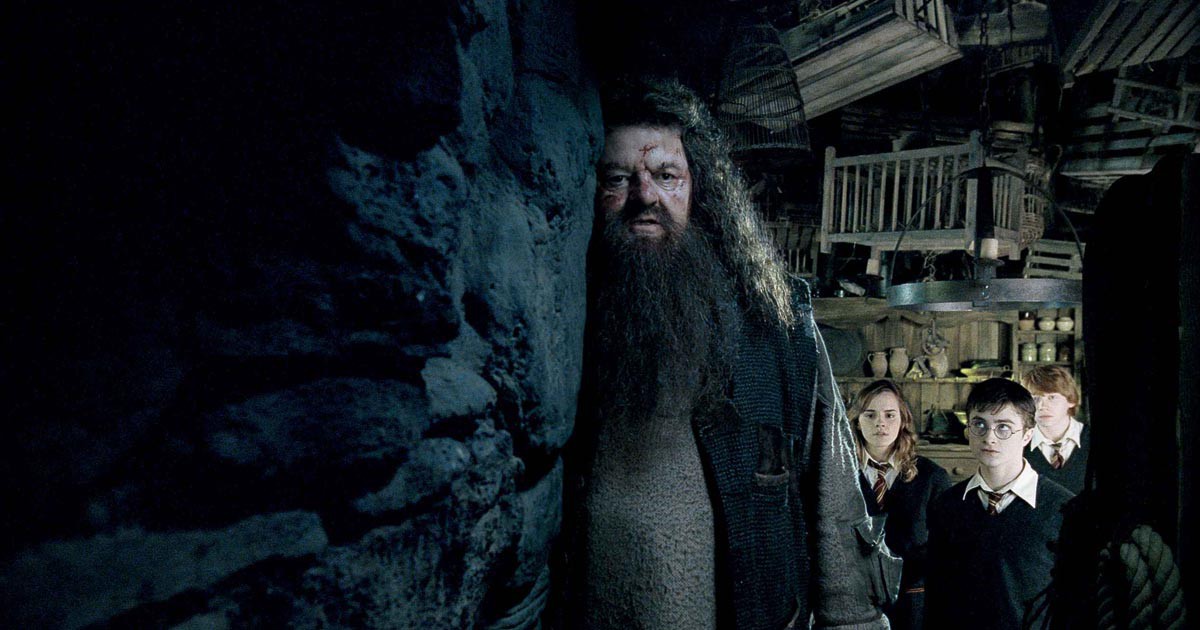10 Choses A Savoir Sur Rubeus Hagrid Warnerbros