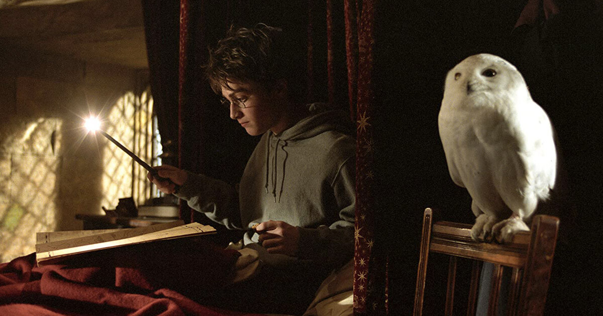 Qui Est Rab Dans Harry Potter Saga Harry Potter : Top 5 des animaux de compagnie de nos sorciers
