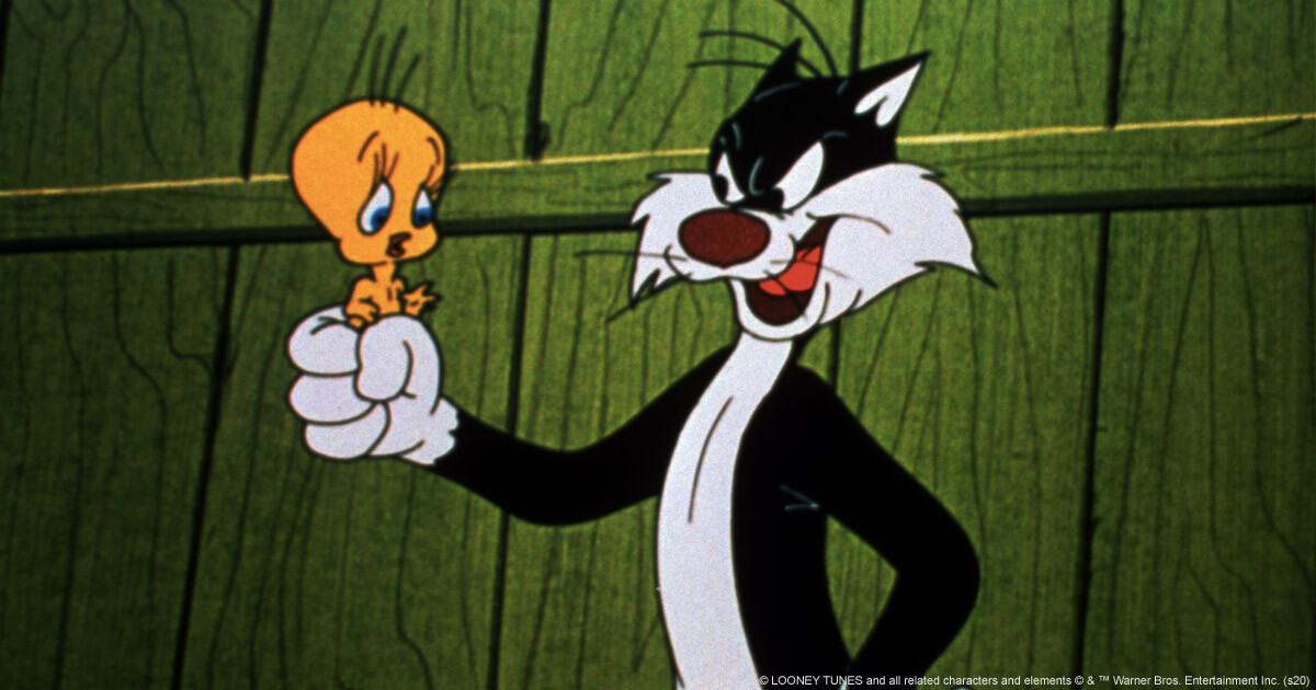 Sylvestre 10 Choses A Savoir Sur Le Celebre Chat Des Looney Tunes Warnerbros