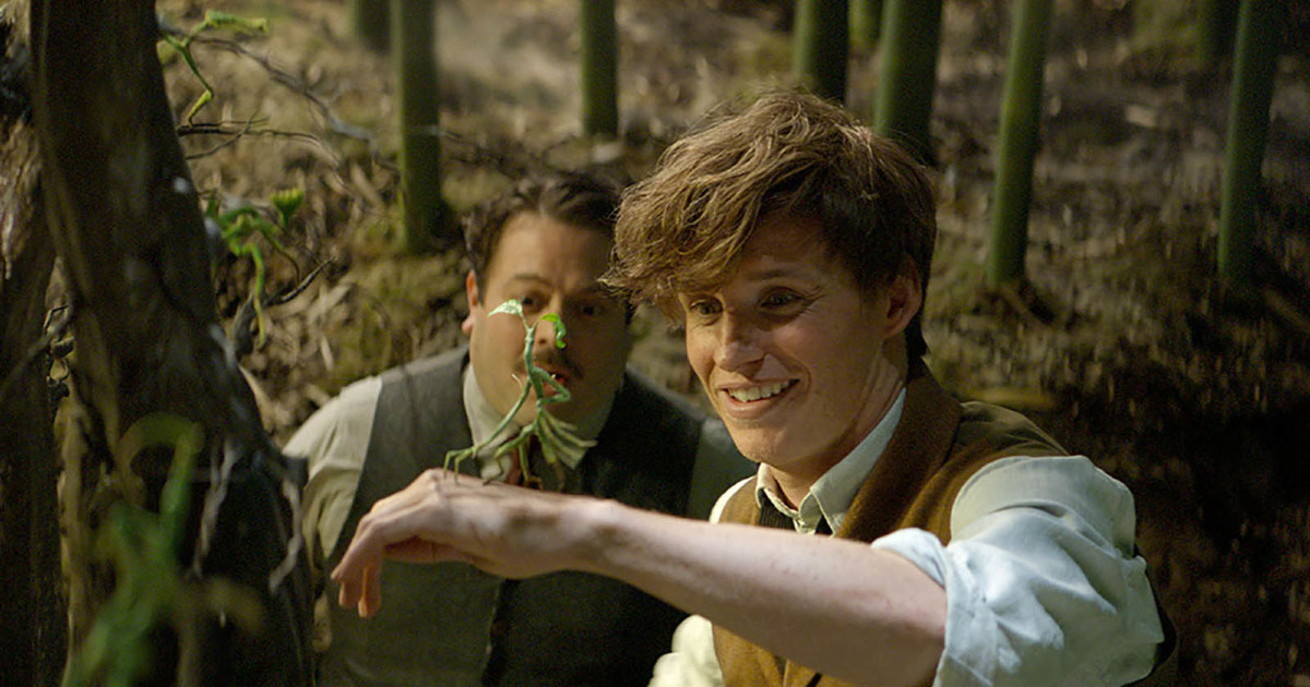 Les Animaux Fantastiques Tout Ce Qu Il Faut Savoir Sur Les Botrucs Warnerbros