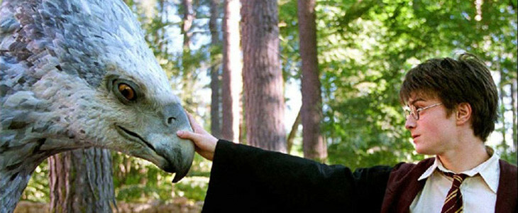Harry Potter et l'hippogriffe Buck dans le troisième volet de la saga